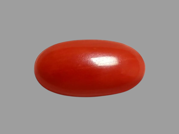 Red Coral seller in Kolkata by Divine Gems