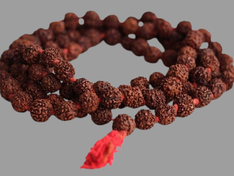 Rudraksha Mala Price in Kolkata, India by Divine Gems