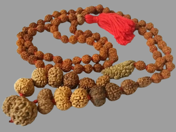 Siddha Rudraksha Mala Price in Kolkata, India by Divine Gems