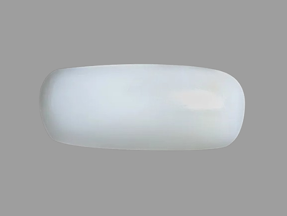 White Coral seller in Kolkata by Divine Gems